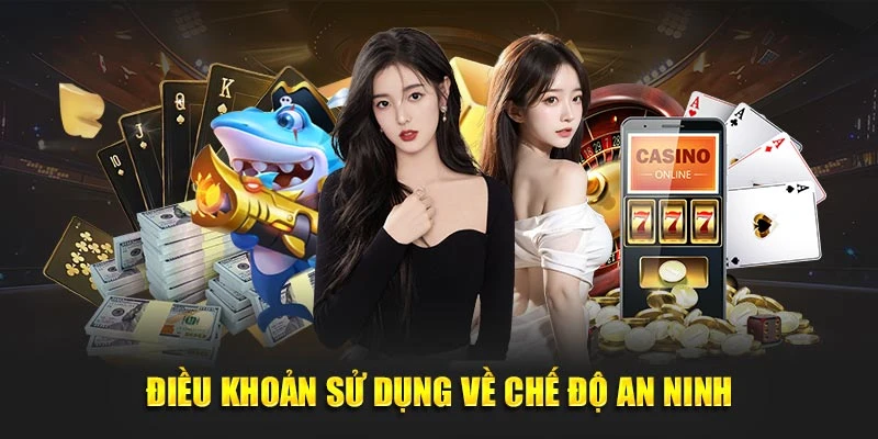 Điều khoản sử dụng về chế độ an ninh