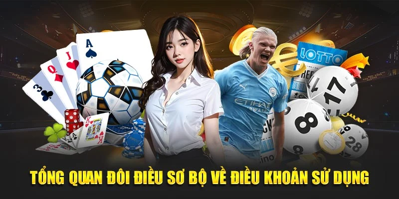 Tổng quan đôi điều sơ bộ về điều khoản sử dụng