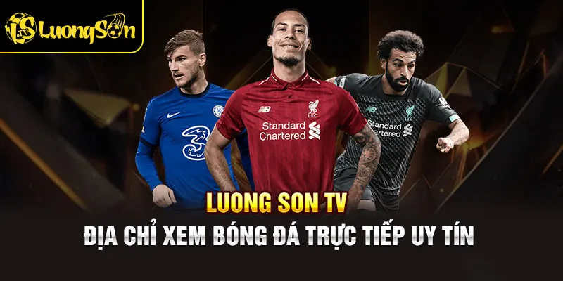 Khám phá trang web trực tiếp bóng đá Luong Son TV